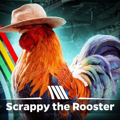 Scrappy the Rooster