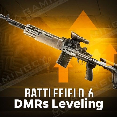 DMR Leveling