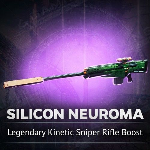 Silicon Neuroma