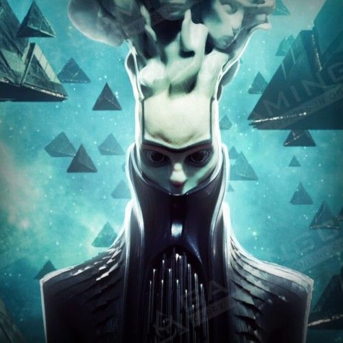 The Witness