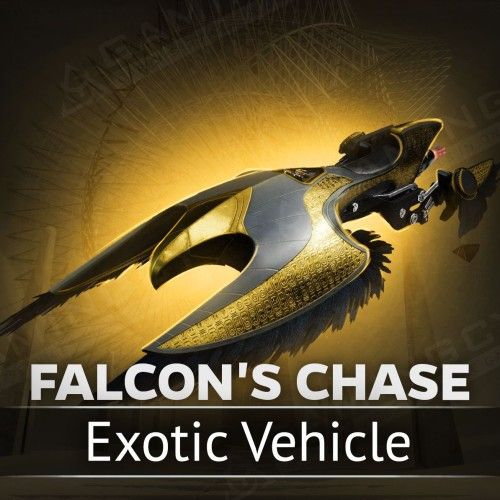 Falcon's Chase