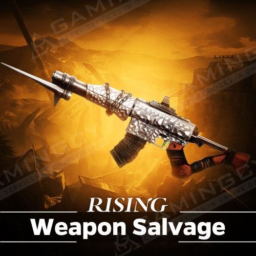 Weapon Salvage
