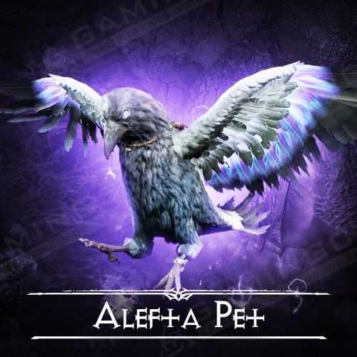 Alefta Pet