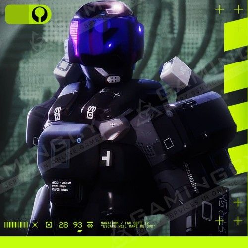 Destroyer Mastery Skin