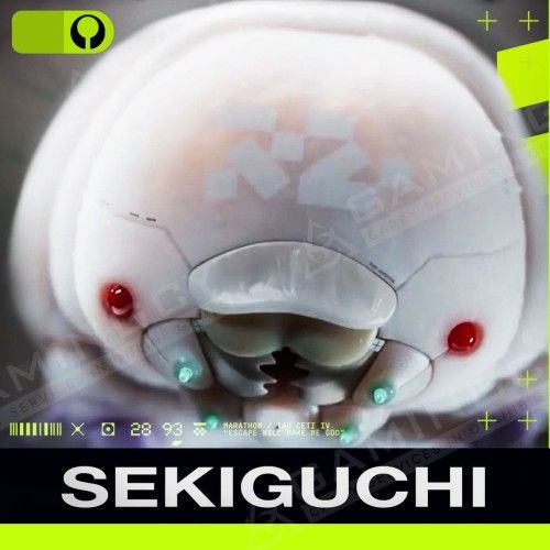 Marathon Sekiguchi
