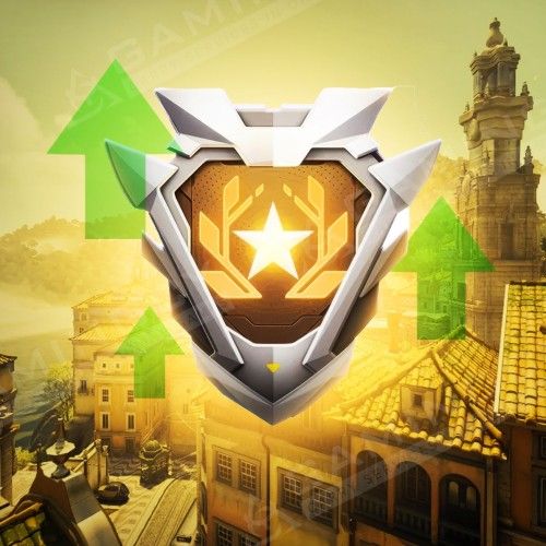 Hero Leveling