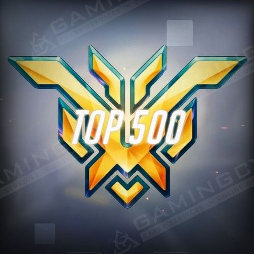 Top 500