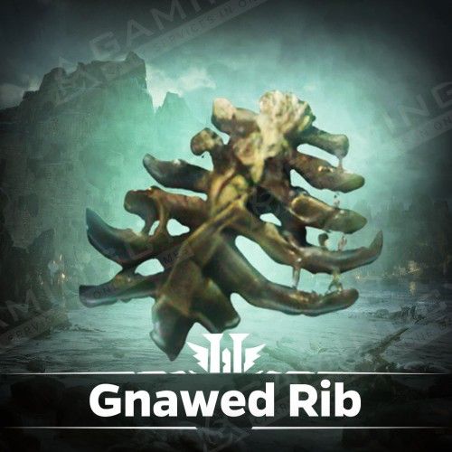 Gnawed Rib