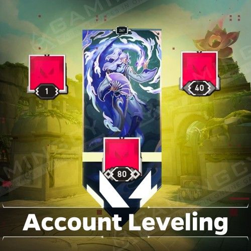 Account Leveling