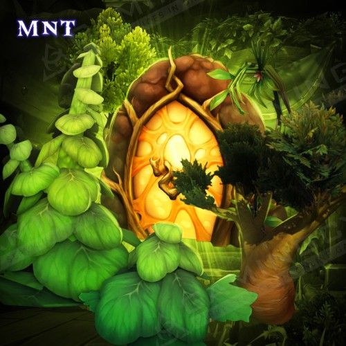 Housing Nature Decor