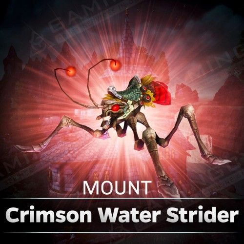 Crimson Water Strider