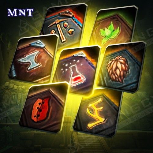 Profession Knowledge