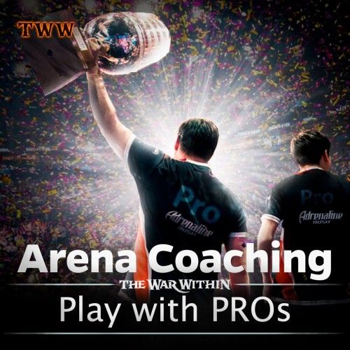 Arena Coaching