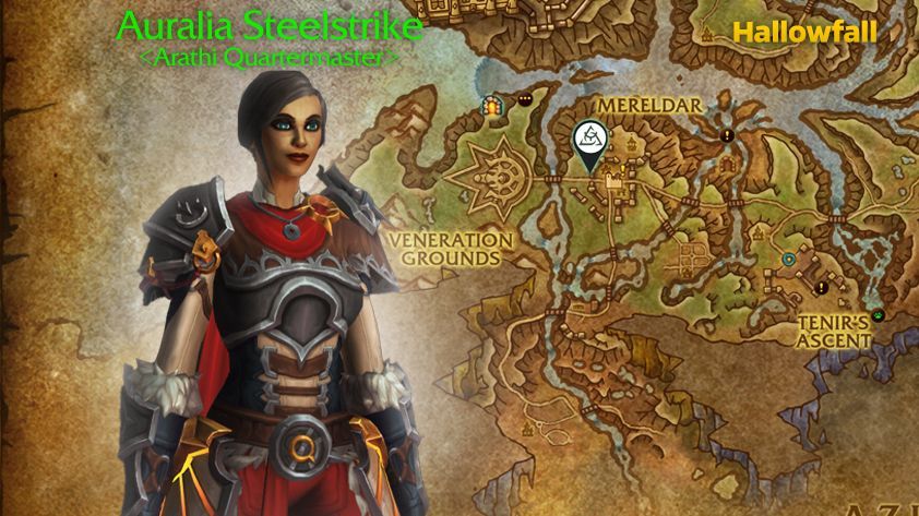 Hallowfall Arathi Quartermaster
