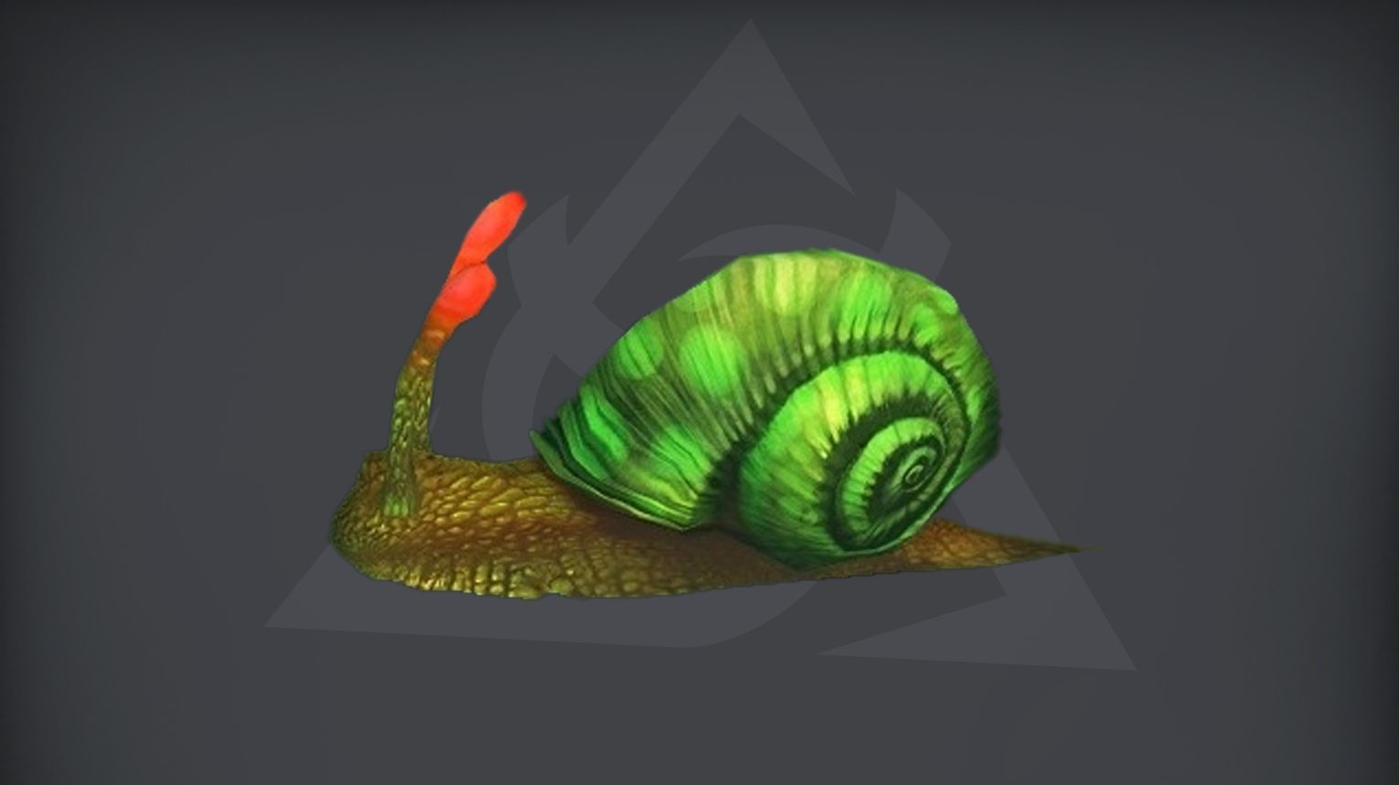 Gastropod Shell