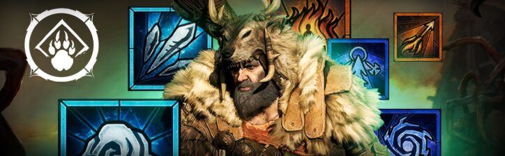 Best Druid Build in Diablo 4